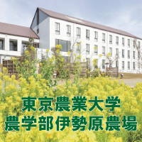東京農業大学農学部伊勢原農場